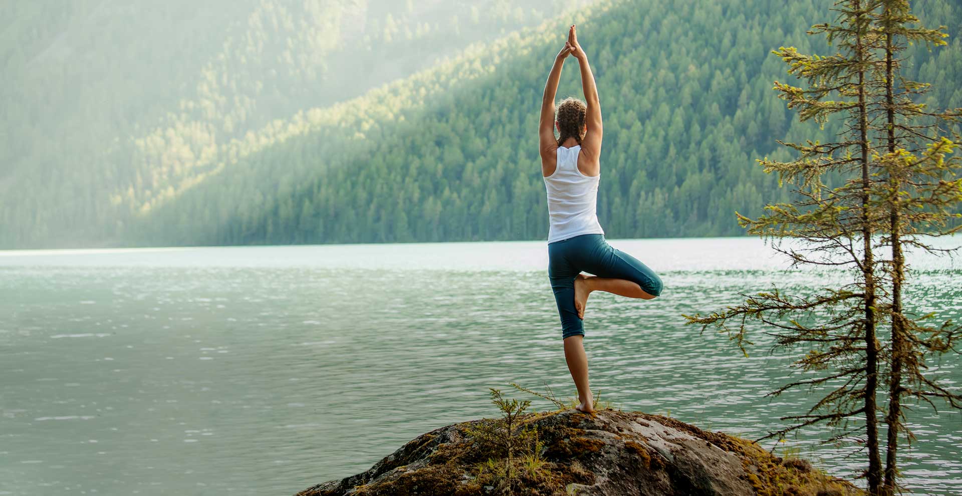 Sensokinetic Stability Assessment